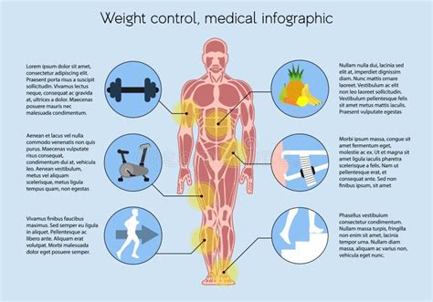 Medische Infographic Hud Vector Illustratie Illustration Of Koppel