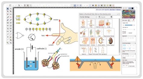 Focus Science Diagrams Designer Focus Educational Software