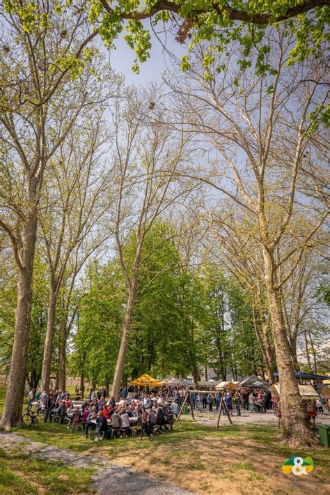 Turistička zajednica Grada Požege Explore Slavonia