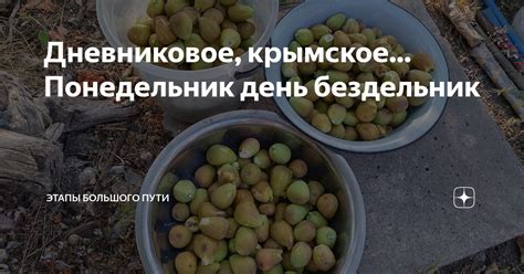 Дневниковое, крымское... Понедельник день бездельник | Этапы большого ...