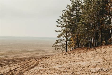 Bledow Desert Pustynia Bledowska Biggest Sand Desert In Silesia