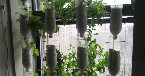 Jardín Vertical Con Botellas Recicladas Vídeo Jardines Verticales Y