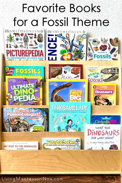 Favorite Books For A Fossil Theme Living Montessori Now
