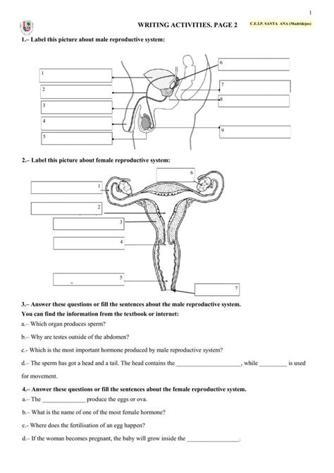 Human Reproduction Page 2 Worksheet Reproductive System Female