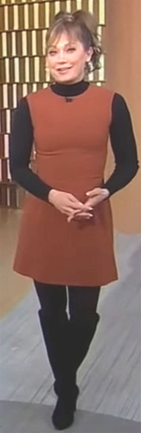 Ginger Zee Wearing A Sexy Mini Brown Dress 10 By Dragonmatt600 On