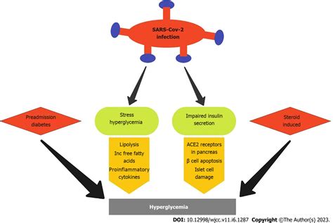 Mechanisms Of Hyperglycemia In Patients With Severe Acute Respiratory