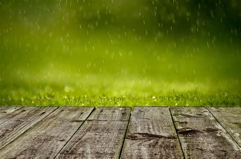 View To Rain From Wooden Veranda Free Stock Photo - Public Domain Pictures