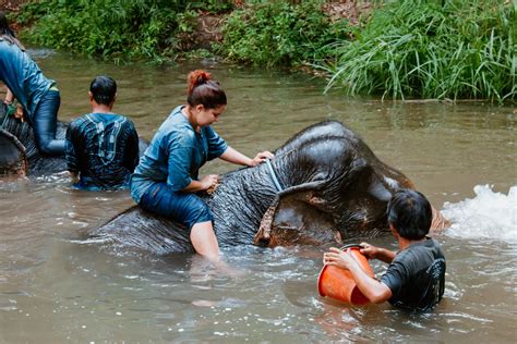 Elefanten Reiten In Thailand Ein Erfahrungsbericht