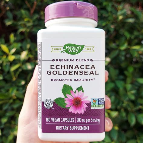 เอ็กไคนาเซีย โกลเด้นซีล Echinacea Goldenseal 900 Mg 180 Vegan Capsules