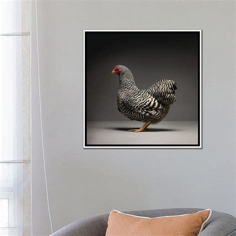 Icanvas Wyandotte By Chicken Framed Canvas Print Bed Bath And Beyond