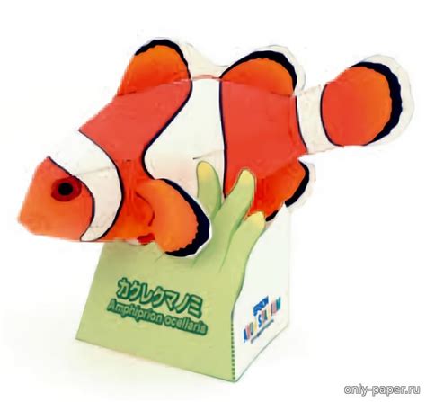 Рыба-клоун / Amphiprion ocellaris (Epson) из бумаги, модели сборные ...