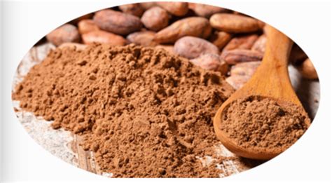 Natural Cocoa Powder Nt Huadong Cocoa China Manufacturer Coffee