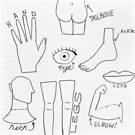 How To Draw Parts Of The Body of all time Check it out now | howtodrawline2