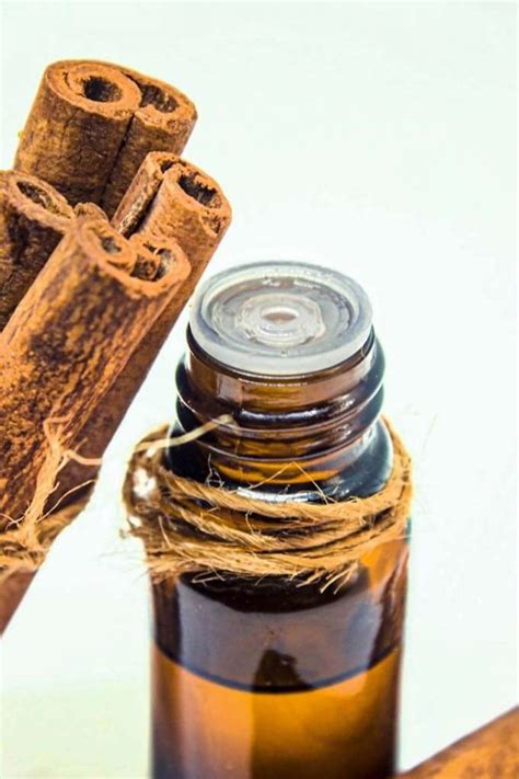 21 Uses for Cinnamon Essential Oil - Wendy Polisi