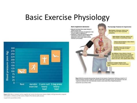 Differences Between Exercise Physiology Kinesiology Chroncom Images