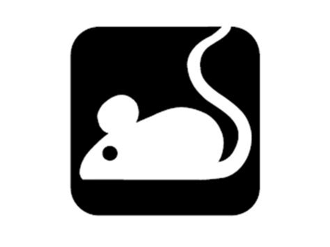 Lab Safety Rules Symbols