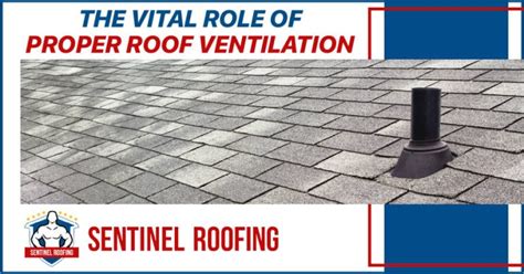 The Vital Role Of Proper Roof Ventilation Sentinel Roofing Services