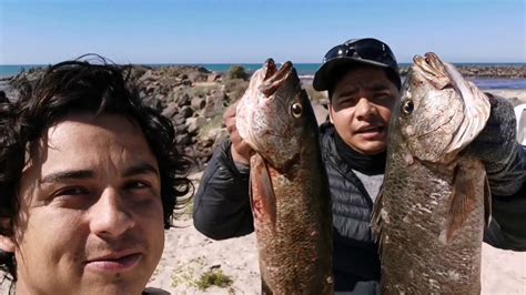 Pesca De Pargos En Camahuiroa Youtube