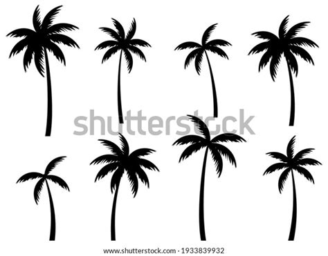 Black Palm Trees Set Isolated On White Background Palm Silhouettes