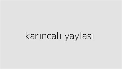 Kar Ncal Yaylas Holitera Blog