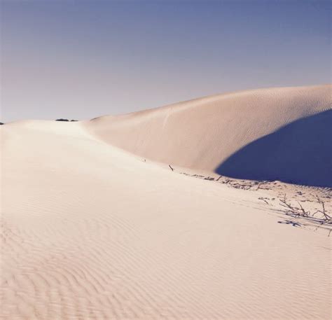 Free Images Nature Sand Abstract Wood Desert Dune Floor Ripple