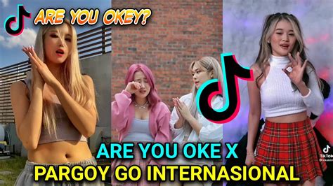 Tiktok Trend Are You Okey Ok Ok X Pargoy Go Internasional Youtube