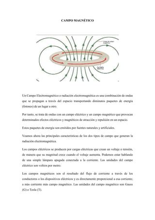 Campo Magn Tico Pdf