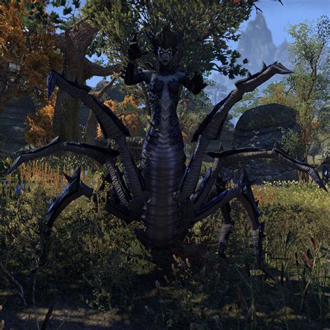 Spider Daedra Online Elder Scrolls Fandom