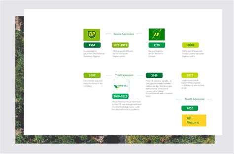 crafting  sustainability inspired brand vision  identity