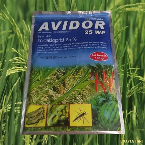 Jual Insektisida AVIDOR 25WP 100 Gram Shopee Indonesia