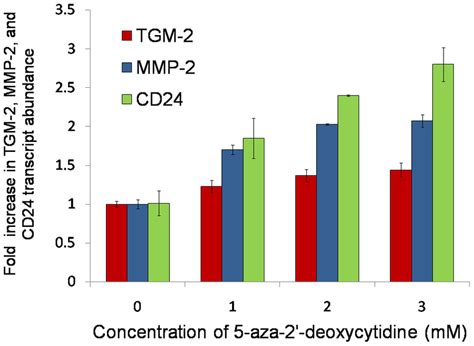 The Effect Of 5 Aza 2′ Deoxycytidine 5 Aza Dc On Transglutaminase 2 Download Scientific