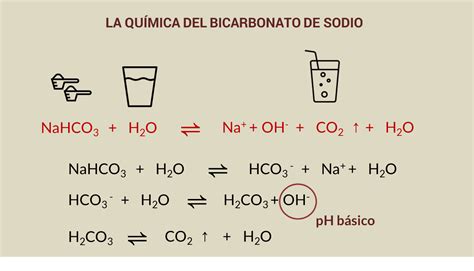 Bicarbonato De Sodio En Agua Reaccion Ciencia Y Cosm Tica