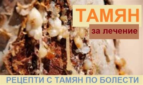 Тамян, бял тамян, масло. За пиене и лечение. Ползи и рецепти | Масло ...