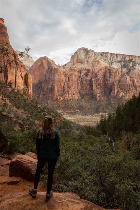 Top 10 Must See Hikes In Zion National Park Zion Weeping Buffalo