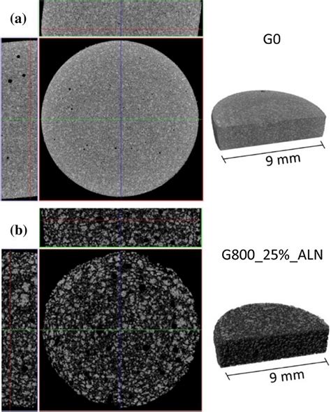 3D Computed X Ray Microtomography Images 3D Rendering And Section