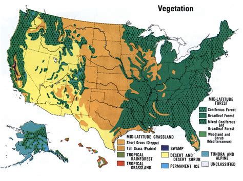 Vegetation Of Usa