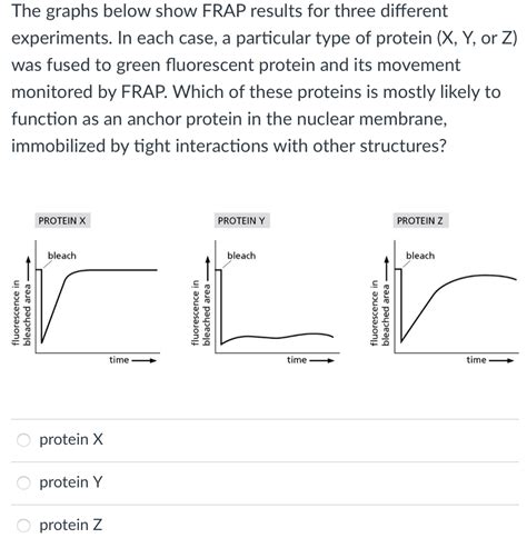 Solved The Graphs Below Show Frap Results For Three Chegg