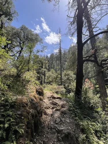 Best 10 Hikes and Trails in Shasta-Trinity National Forest | AllTrails