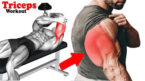 6 Perfect Triceps Exercises Get Huge Arms Worlds Best Tricep Workout To Build Wider Triceps