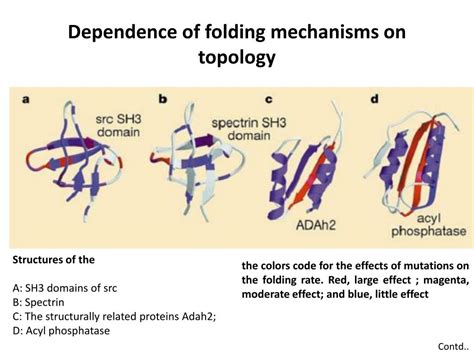 PPT - Protein folding PowerPoint Presentation, free download - ID:2098098