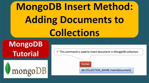 How To Insert Document In A Collection In Mongodb Using The Insert