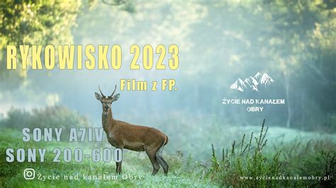 Rykowisko 2023 Film z fotopułapki I Deer Rut I Sony 200 600 Sony A7IV