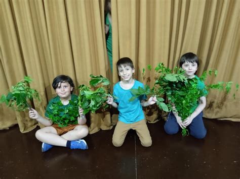 Cierre Del Año Teatro Colegio Lourdes