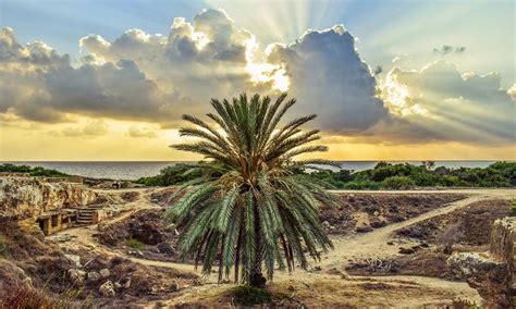 Cheap Paphos Holidays Flights To Paphos Hotels In Paphos Best4travel