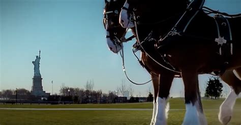 Cette Publicité Poignante De Budweiser En Hommage à Notre Nation Na