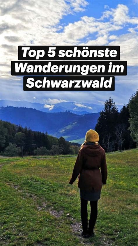 Top Sch Nste Wanderungen Im Schwarzwald Schwarzwald Wanderung