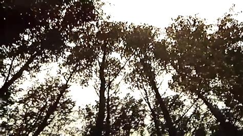 Nostalgics Retro Retro Porn XHamster