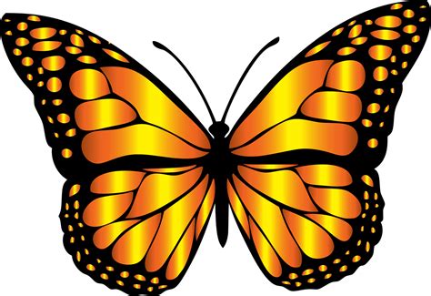 Explore 5582 Free Monarch Butterfly Illustrations Download Now Pixabay