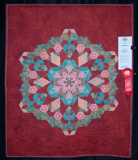 Asheville Quilt Guild 2023 Quilt Show Winners Photo Gallery