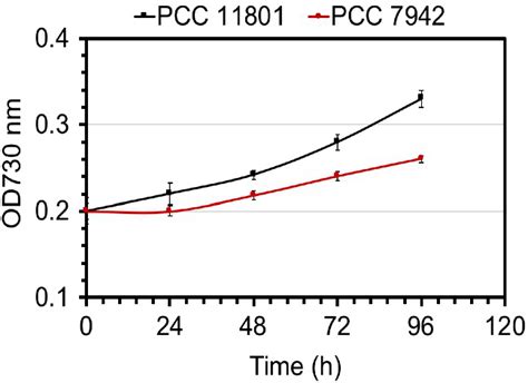 The Growth Profile Of S Elongatus Pcc And Pcc Strains Grown